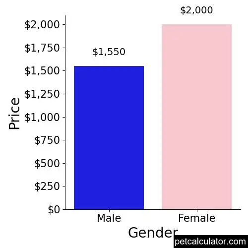Price of Irish Red and White Setter by Gender 