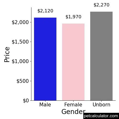 Price of Irish Wolfhound by Gender 