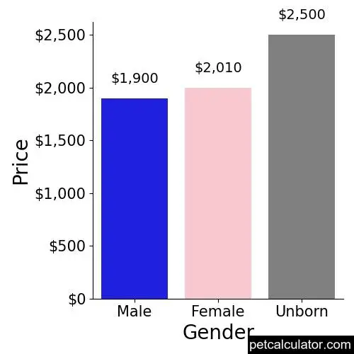 Price of Italian Greyhound by Gender 