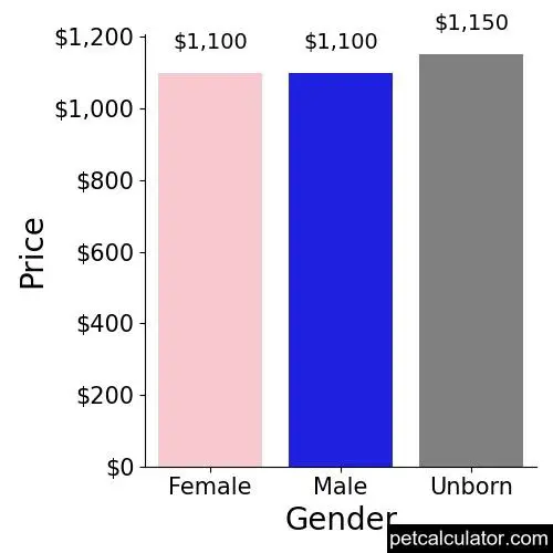 Price of Jack Russell Terrier by Gender 