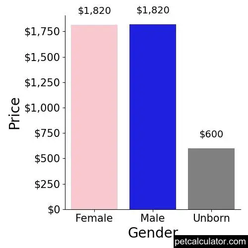 Price of Japanese Chin by Gender 