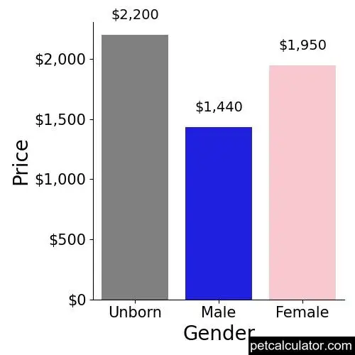 Price of Japanese Spitz by Gender 