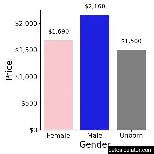 Price of King Shepherd by Gender 