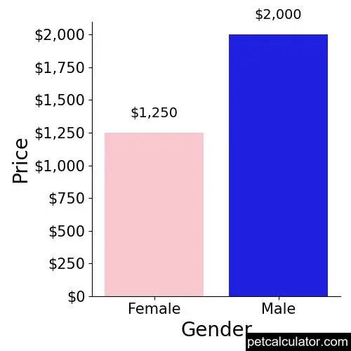 Price of Kuvasz by Gender 