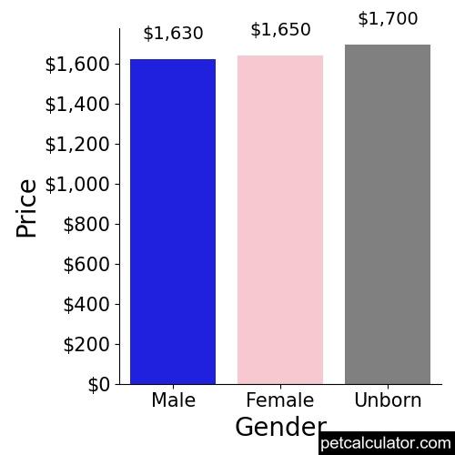 Price of Labradoodle by Gender 