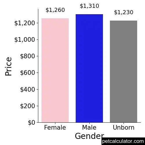 Price of Labrador Retriever by Gender 