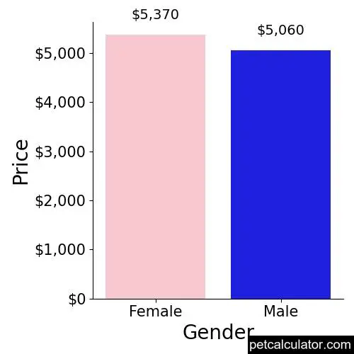 Price of Lagotto Romagnolo by Gender 