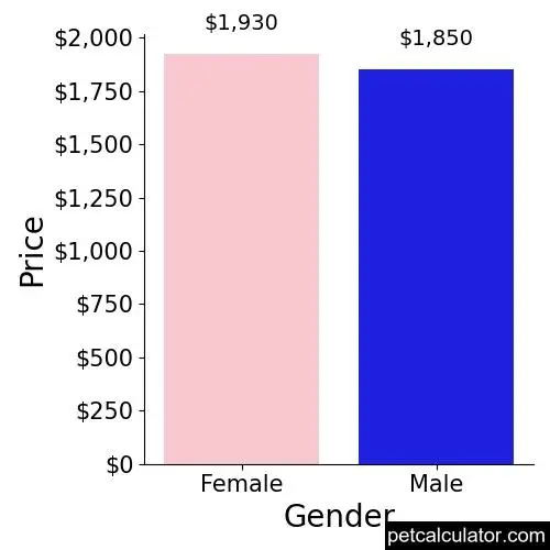 Price of Lakeland Terrier by Gender 