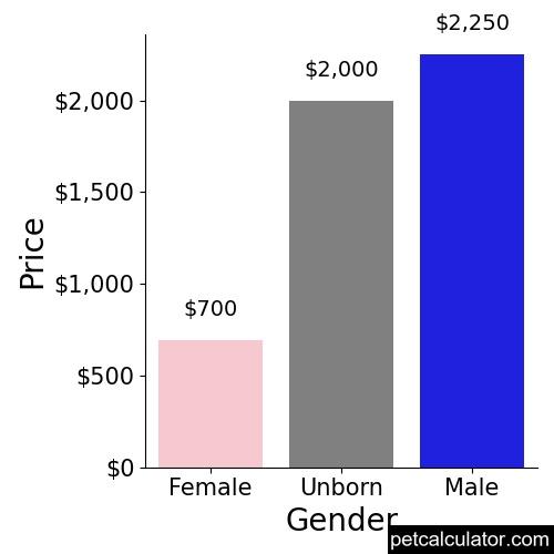 Price of Leonberger by Gender 