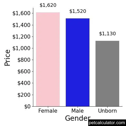 Price of Lhasa Apso by Gender 