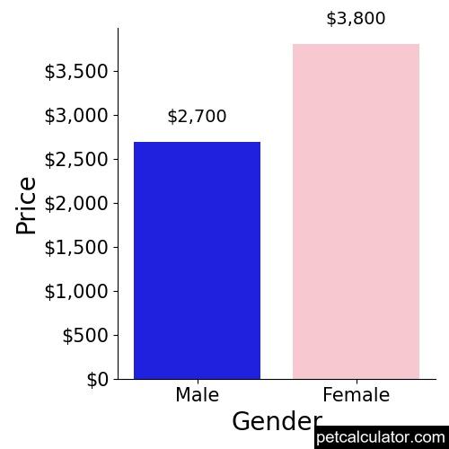Price of Lowchen by Gender 
