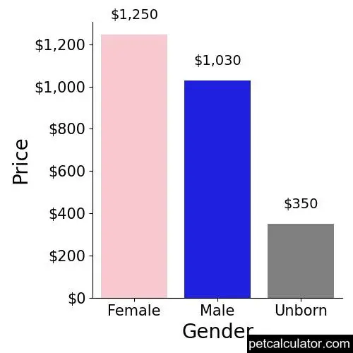 Price of Malchi by Gender 