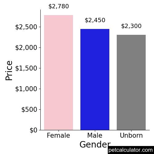Price of Maltese by Gender 