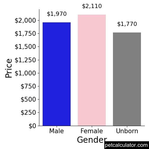 Price of Maltipoo by Gender 