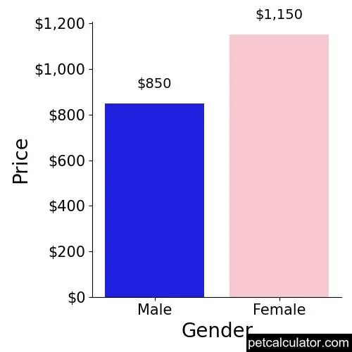 Price of Manchester Terrier by Gender 