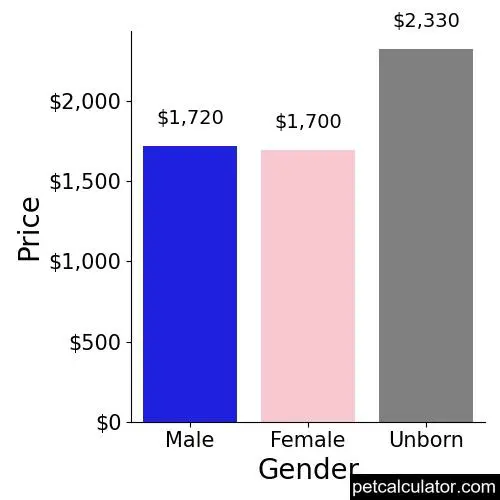 Price of Mastiff by Gender 
