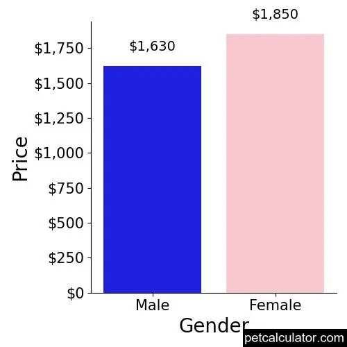 Price of Mi Ki by Gender 