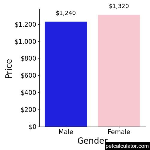 Price of Miniature American Eskimo by Gender 