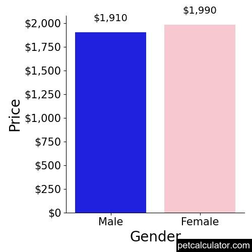 Price of Miniature American Shepherd by Gender 