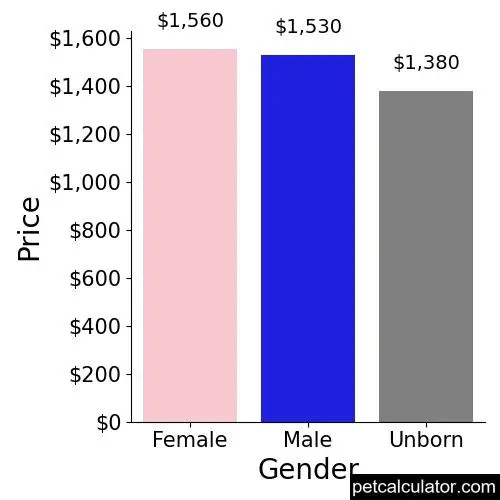 Price of Miniature Australian Shepherd by Gender 