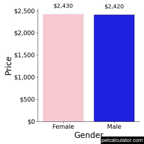 Price of Miniature Bull Terrier by Gender 
