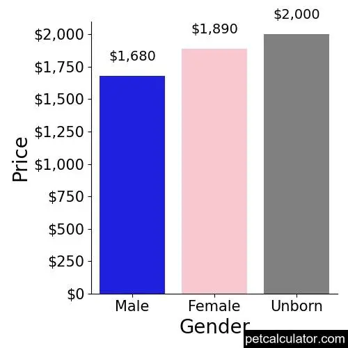 Price of Miniature Bulldog by Gender 