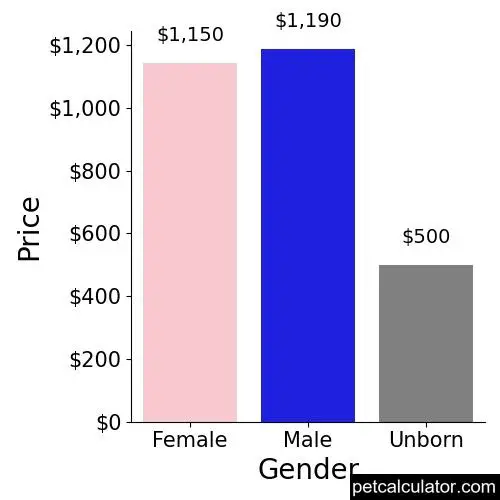 Price of Miniature Pinscher by Gender 
