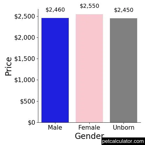 Price of Miniature Poodle by Gender 