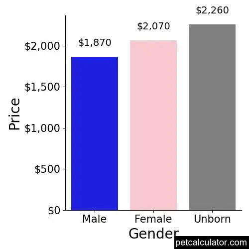 Price of Miniature Schnauzer by Gender 