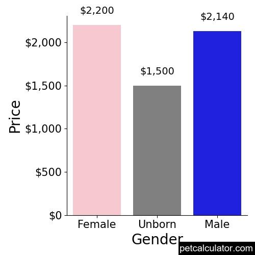 Price of Miniature Shar Pei by Gender 