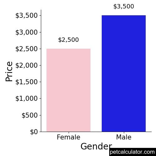 Price of Norfolk Terrier by Gender 