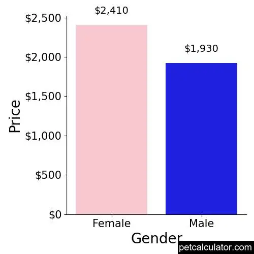 Price of Norwich Terrier by Gender 