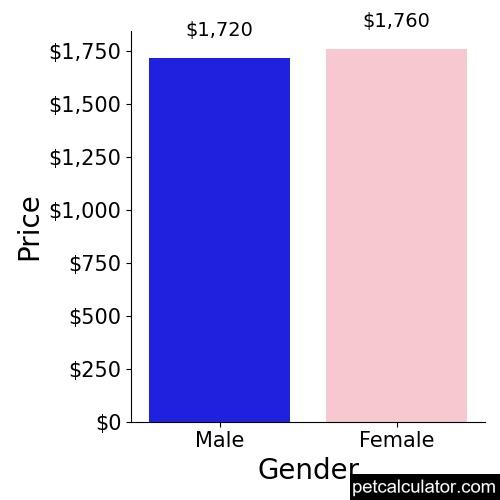 Price of Parson Russell Terrier by Gender 