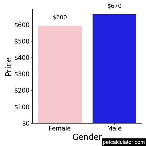 Price of Patterdale Terrier by Gender 