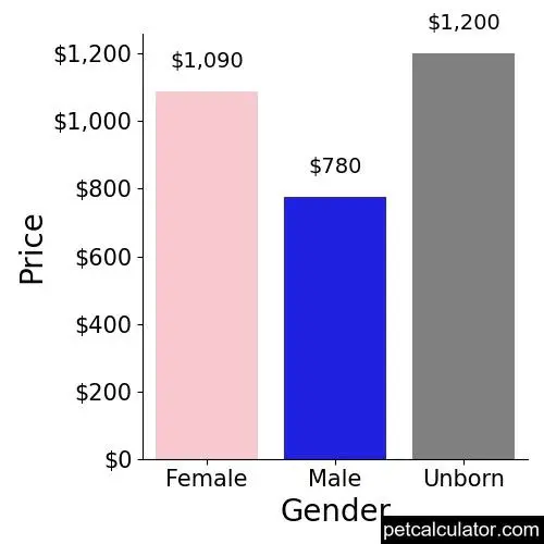 Price of Pointer by Gender 
