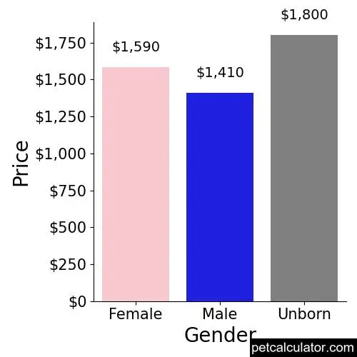 Price of Pomapoo by Gender 