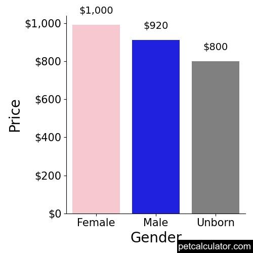 Price of Pomchi by Gender 