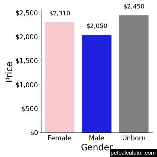 Price of Pomeranian by Gender 