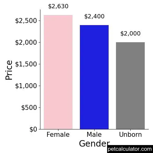 Price of Portuguese Water Dog by Gender 