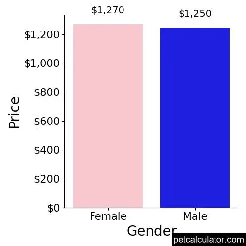 Price of Presa Canario by Gender 