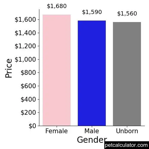 Price of Pug by Gender 