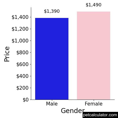 Price of Puggle by Gender 