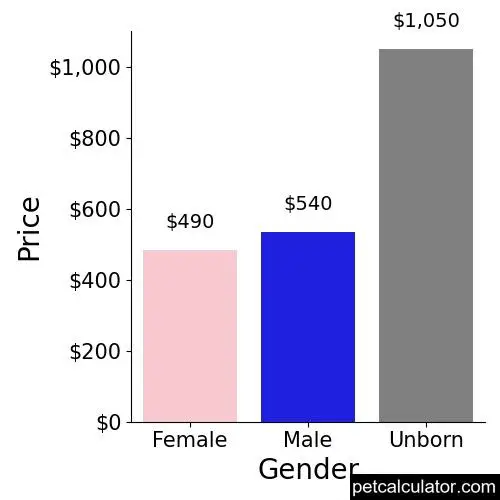 Price of Redbone Coonhound by Gender 
