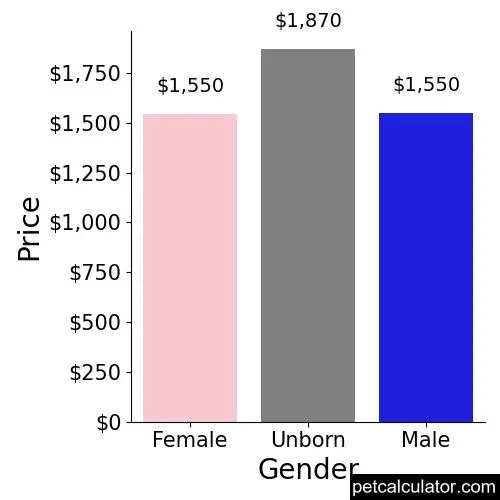Price of Rhodesian Ridgeback by Gender 