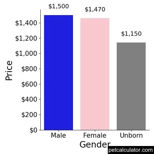 Price of Saint Bernard by Gender 