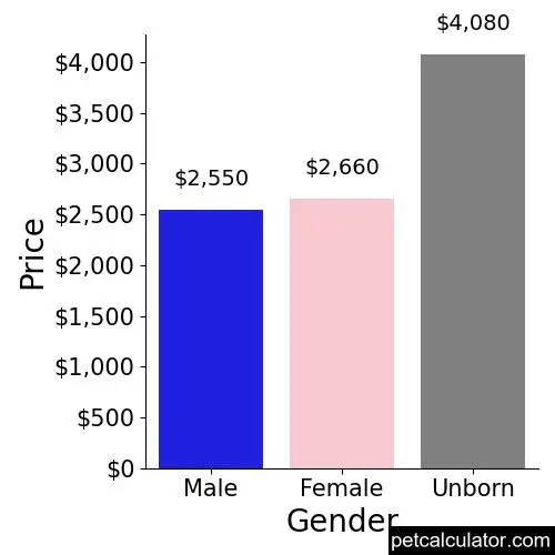 Price of Samoyed by Gender 