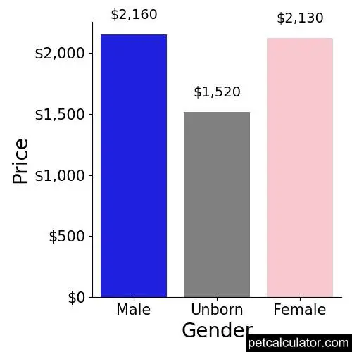 Price of Shiba Inu by Gender 