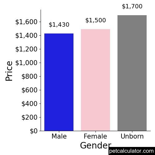 Price of Shichon by Gender 