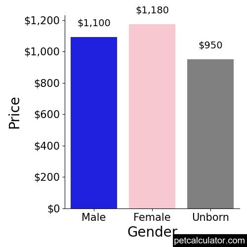 Price of Shiranian by Gender 