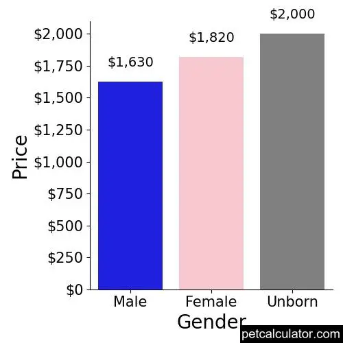 Price of Soft Coated Wheaten Terrier by Gender 